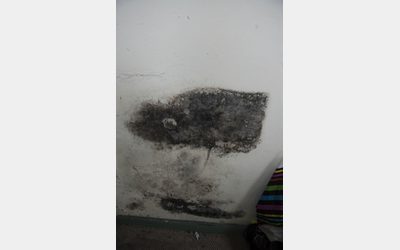 Example of a black mould ceiling.