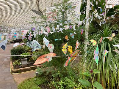 Event venue set up for the Moths to a Flame project.