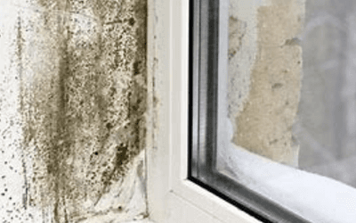Damp wall window