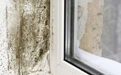 Mould growth near a window caused by condensation.