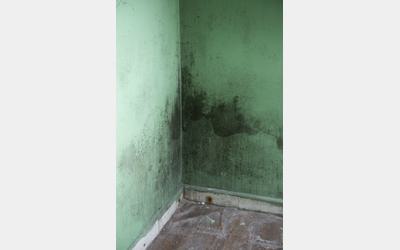Mouldy corner