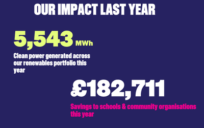 Our Impact Graphic Local Power